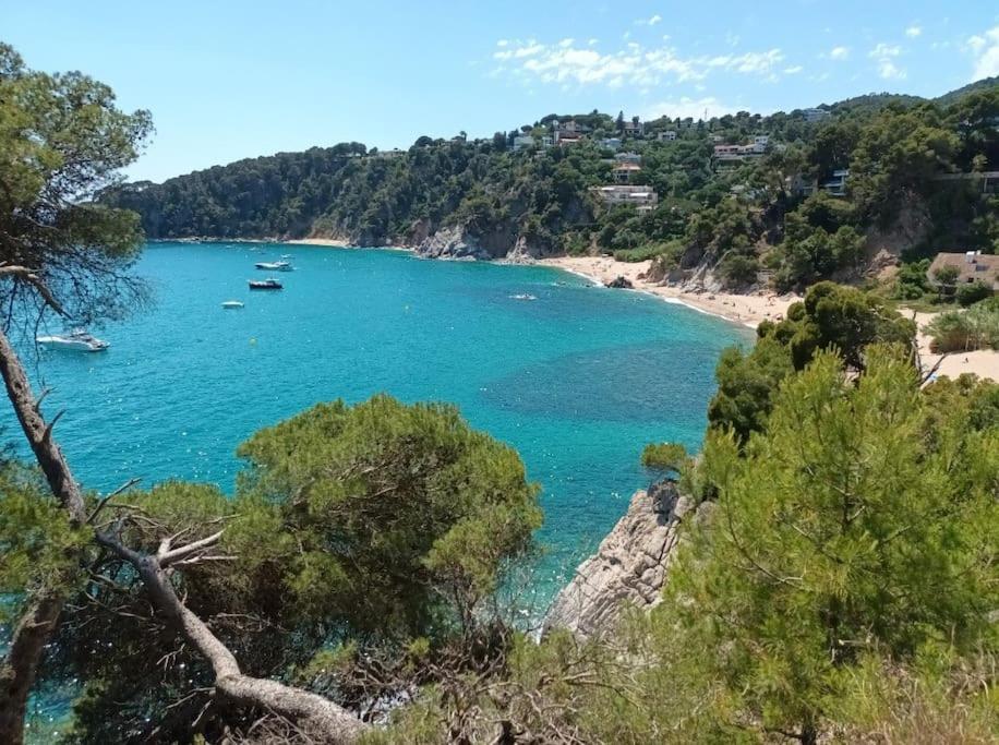La Calma De Tossa Apartment Girona Bagian luar foto